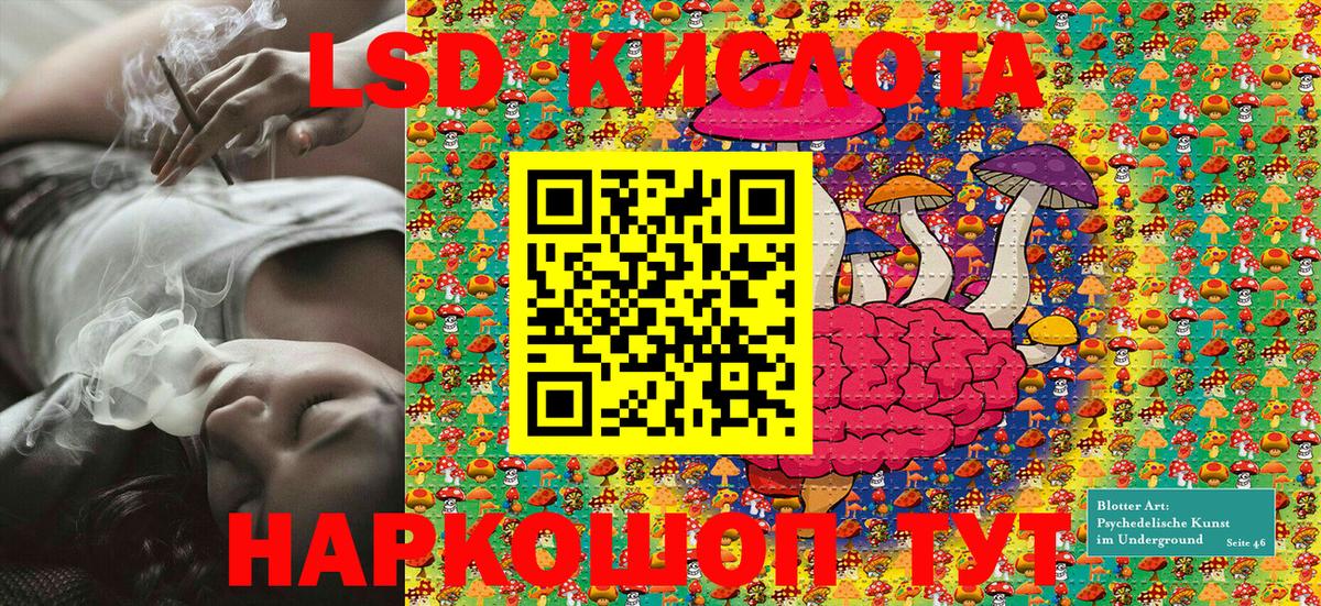 где купить наркоту  Наркотические марки 1,5мг  Наркотические марки  Вход с VPN  Павлово 