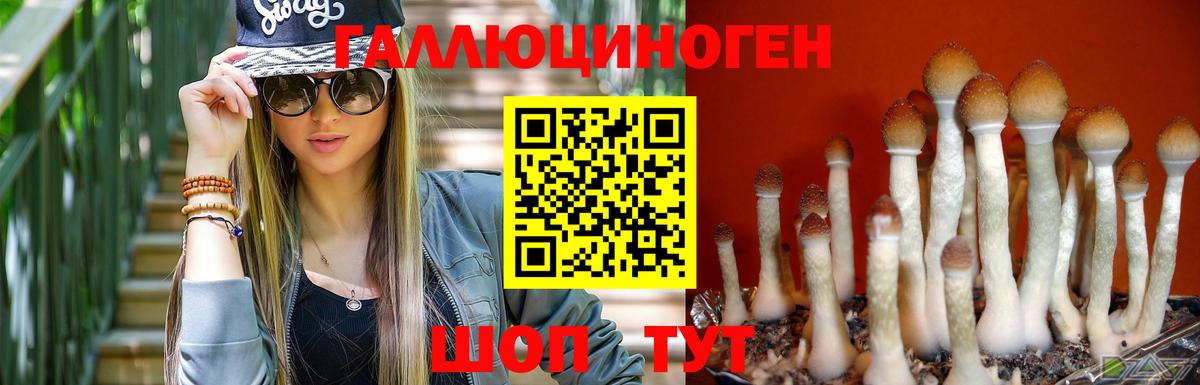 Галлюциногенные грибы Psilocybine cubensis  Вход с VPN  Павлово 