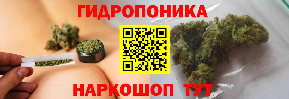 Конопля семена Павлово
